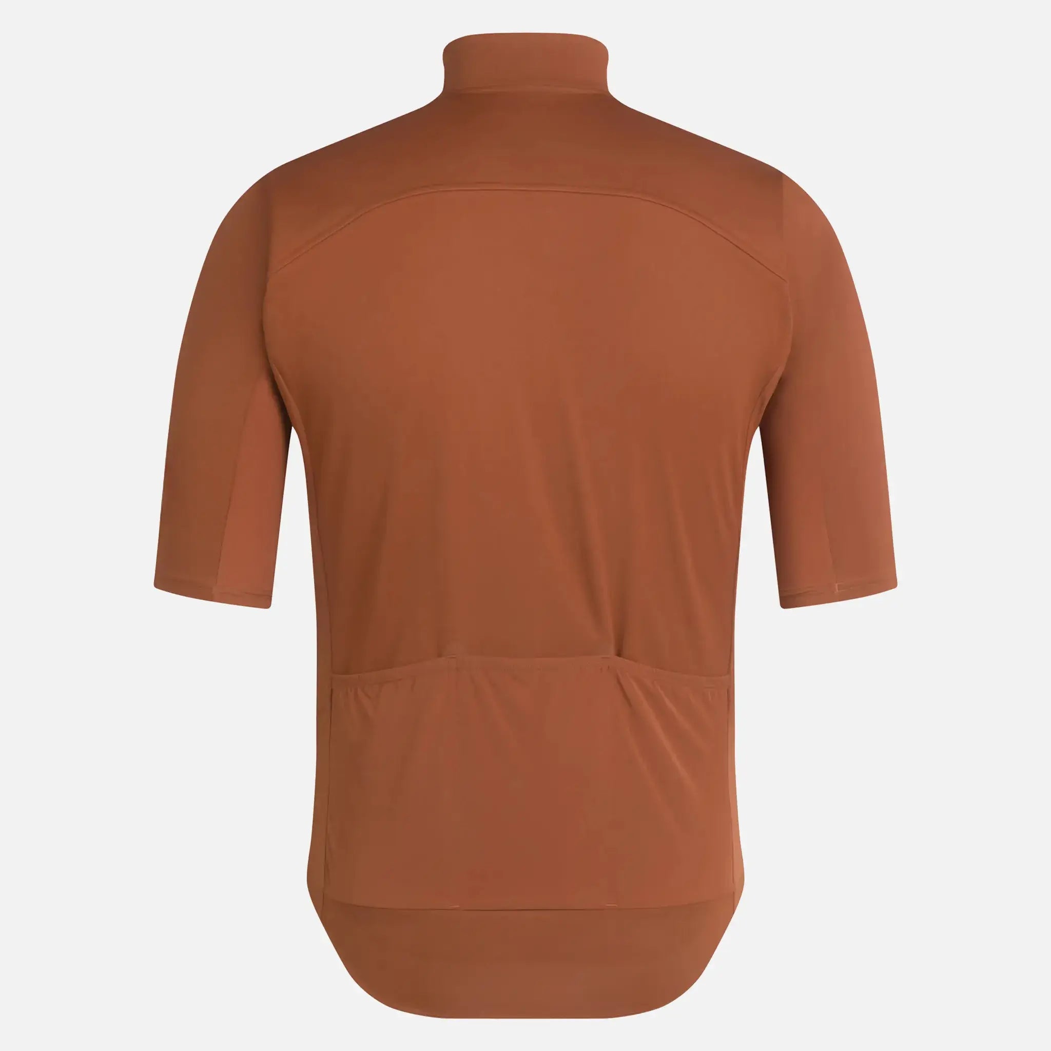 Men's Pro Team Windstopper Jersey